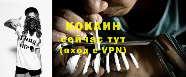 кокс Бородино