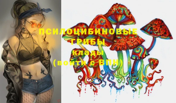 гашик Лиски