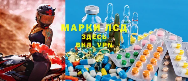 спиды Медвежьегорск